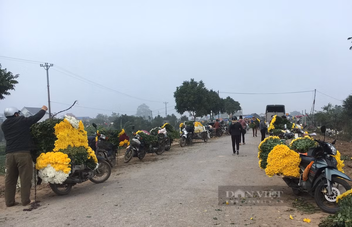 Xã Mỹ Tân (huyện Mỹ Lộc) được coi là “vựa” hoa tươi lớn nhất ở tỉnh Nam Định. Dịp cuối năm, các thương lái ở nhiều tỉnh, thành lân cận tấp nập về làng hoa Mỹ Tân để nhập hoa tươi. Ảnh: Mai Chiến.