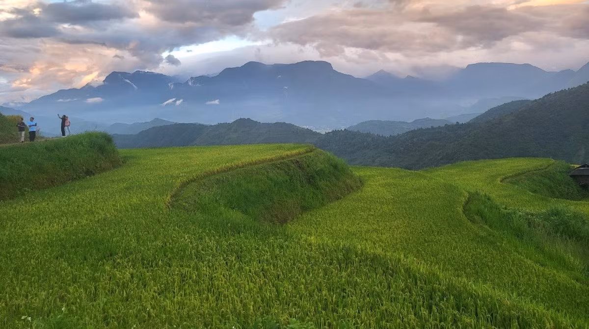 “Nhung chiec thang tuyet voi leo len bau troi Tay Bac“-Hinh-13