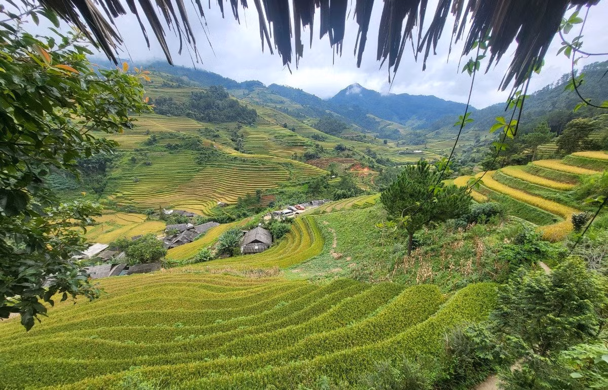 “Nhung chiec thang tuyet voi leo len bau troi Tay Bac“-Hinh-3