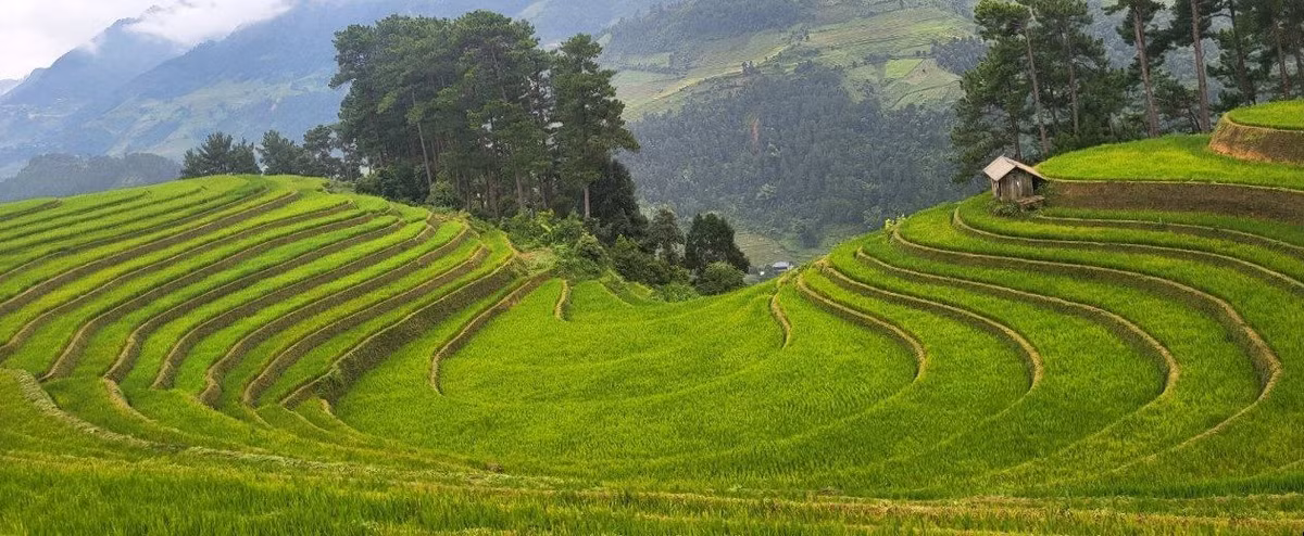 “Nhung chiec thang tuyet voi leo len bau troi Tay Bac“-Hinh-8