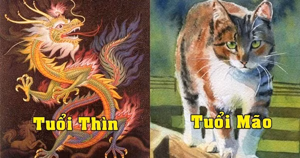 Người bạn đời vừa gây dựng được thứ gì, nửa kia sẽ phá tan, đạp đổ, nói xấu hoặc phá thối bằng mọi cách, thậm chí là tiêu xài sạch tài sản để cho bõ tức. Thế nên của chồng nhưng là tội vợ, cặp đôi Mão – Thìn này sẽ chẳng bao giờ để được chút đồng tiền còm cõi nào trong nhà.