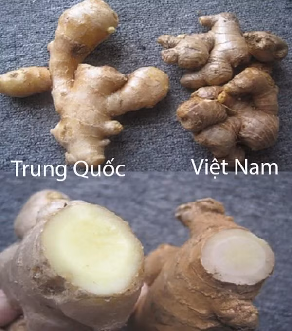 20 cách phân biệt rau củ Trung Quốc và Việt Nam, nắm chắc để tránh mua nhầm - Hình 19 20 cach phan biet rau cu Trung Quoc va Viet Nam, nam chac de tranh mua nham-Hinh-19