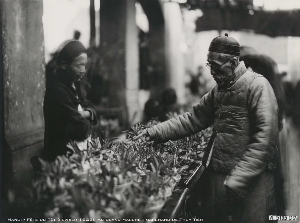 Một cụ ông chọn hoa thủy tiên làm vật trang trí Tết ở Hà Nội năm 1929. Hoa thủy tiên được coi là biểu tượng cho vẻ đẹp tiềm ẩn của con người.