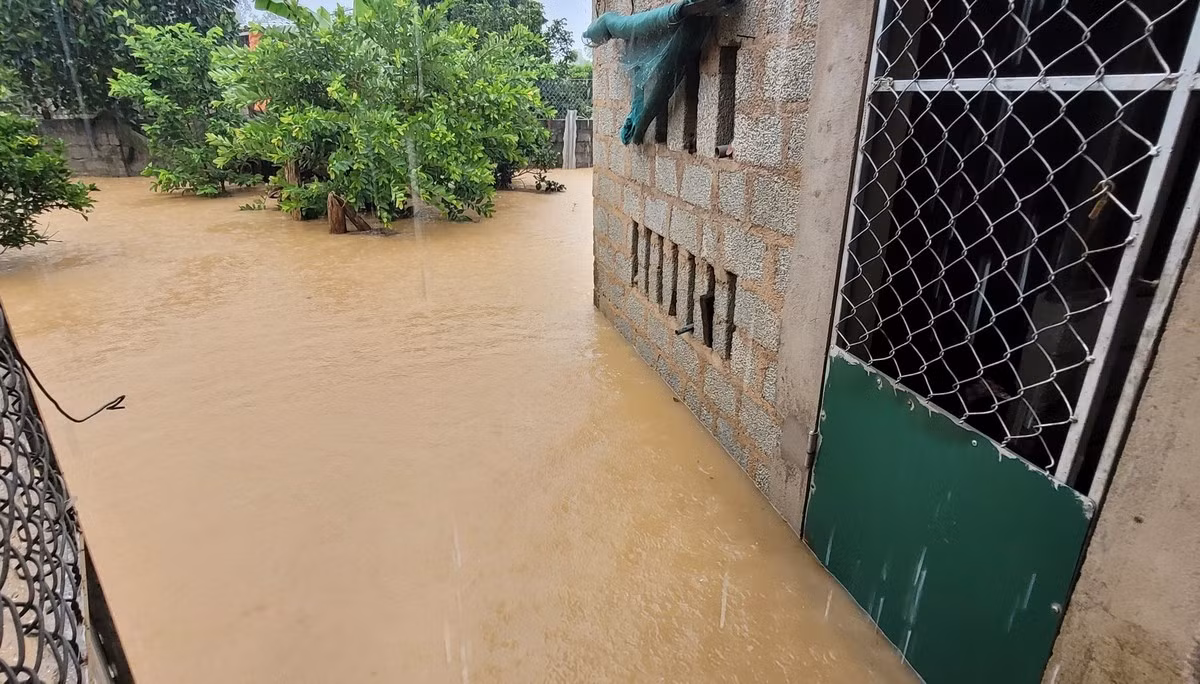Nước lũ lên nhanh ngập chuồng trại, ruộng vườn của người dân.