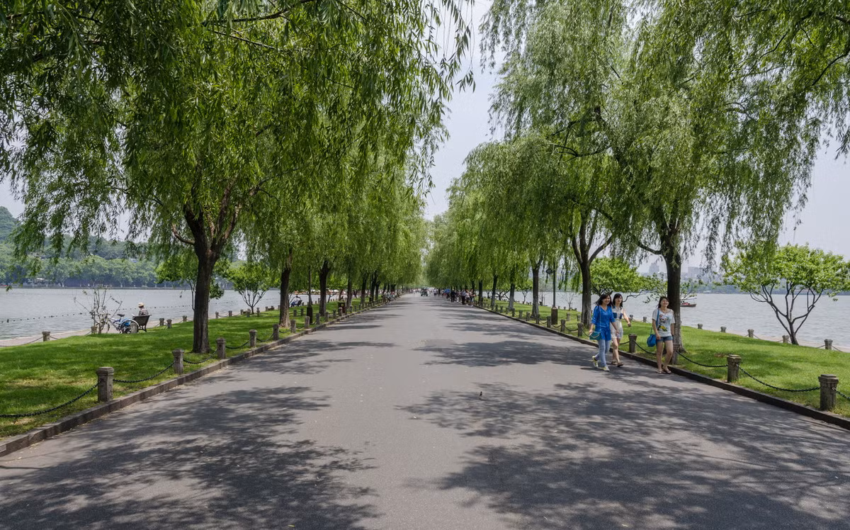 Phía trên đê Tô Đông Pha cho trồng nhiều cây liễu. Con đê này được đặt tên là đê Tô và cũng trở thành một trong những cảnh đẹp của Tây Hồ như đê Bạch. Ảnh: Wikipedia.