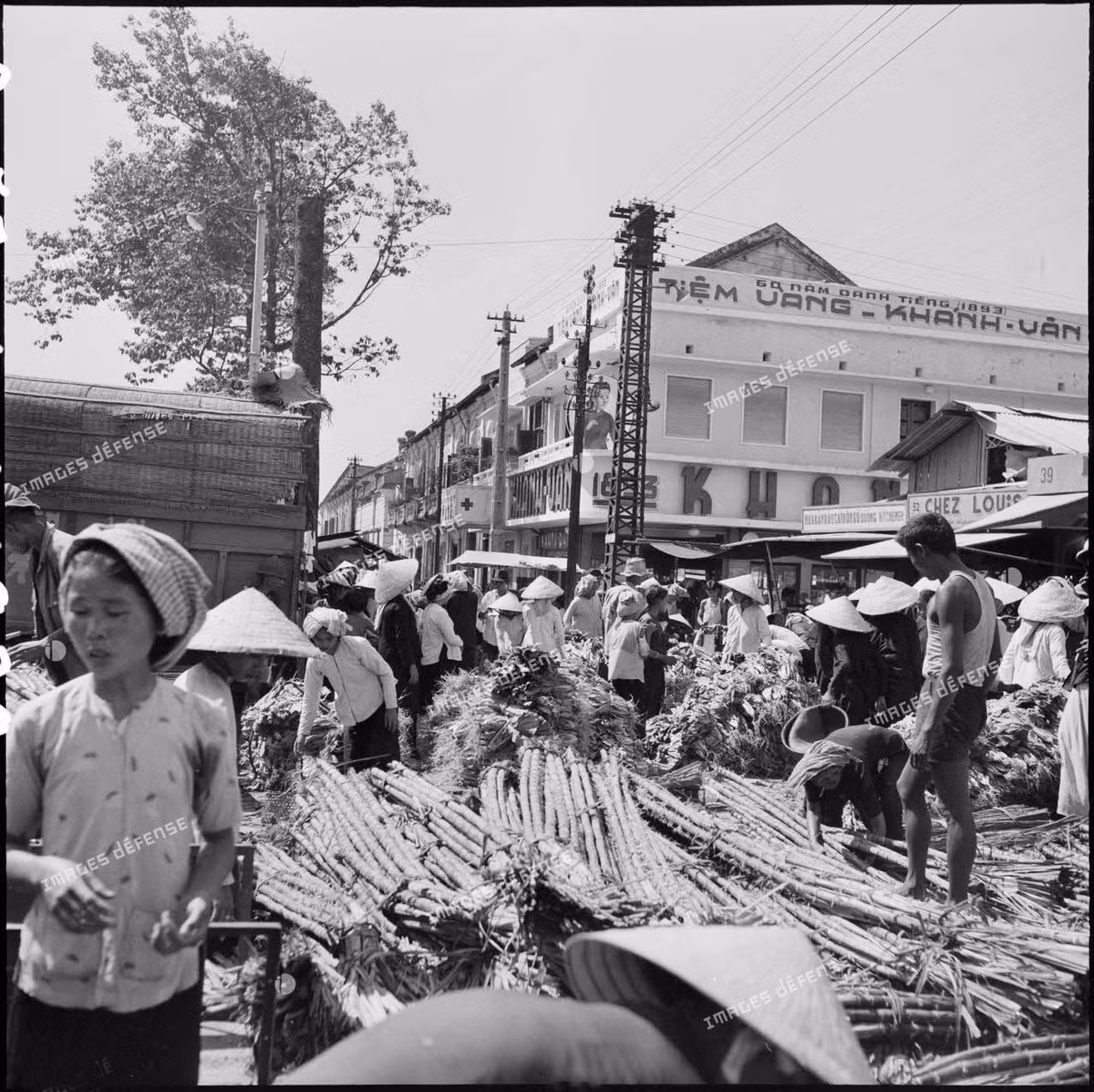 Quầy bán mía ở chợ Cầu Muối, góc Nguyễn Thái Học - Cô Giang.