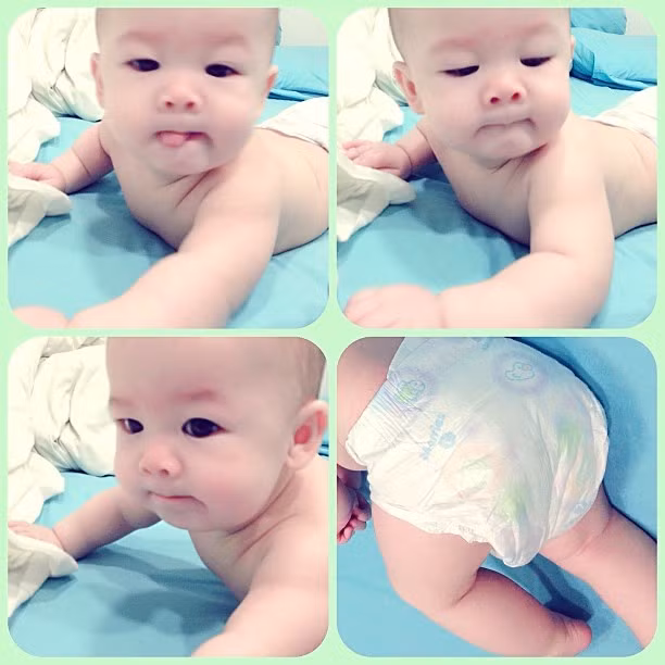 Con trai blogger so mot Singapore khien dan mang phat sot-Hinh-7