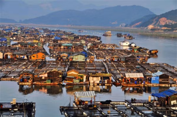 Làng chài nổi (Phúc Kiến). Trên vùng biển phía đông nam tỉnh Phúc Kiến có một dãy nhà nổi, trải dài hàng trăm km2. Đây là ngôi làng nổi trên biển lớn nhất Trung Quốc với hơn 10.000 cư dân. Mọi sinh hoạt của người dân diễn ra ngay trên mặt biển. Cư dân của làng sinh sống hoàn toàn phụ thuộc vào nuôi trồng thủy sản.