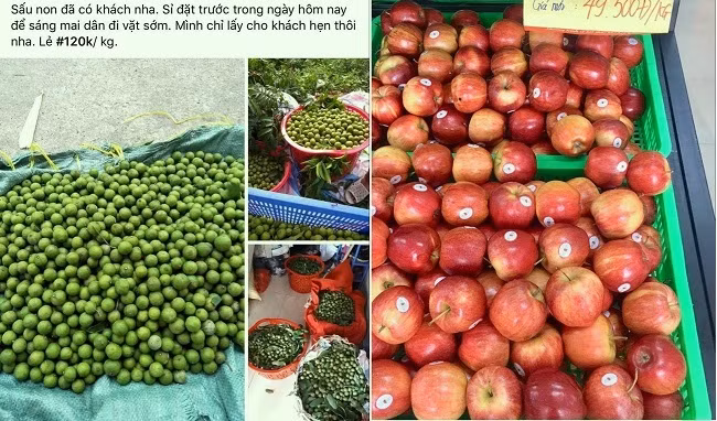 Sau non dat hon trai cay nhap khau, tieu thuong “hot bac“-Hinh-2