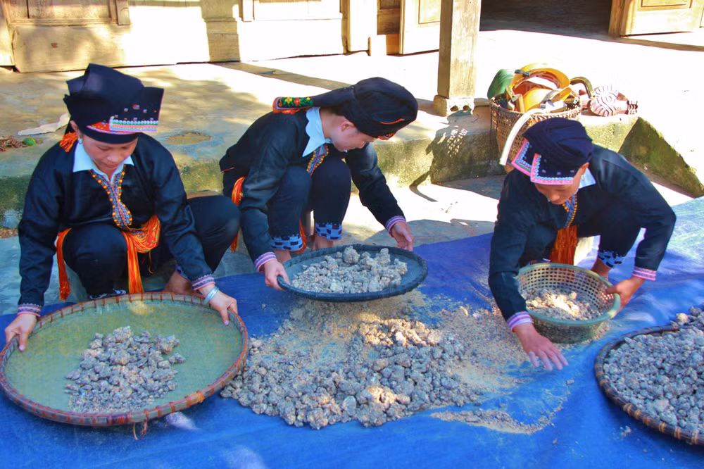 Viet Nam co bau vat giup 