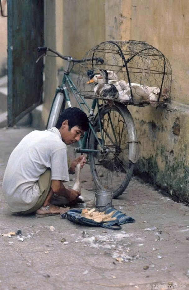 Nhồi vịt trên vỉa hè. Ảnh: Hpgrumpe.de.