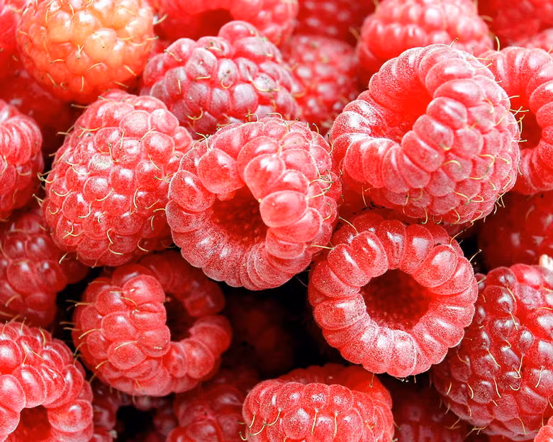 Mâm xôi đỏ (raspberry) hay bị nhầm với phúc bồn tử, là loại quả có họ hàng gần với mâm xôi đen, nhưng vị chua hơn. Giá tham khảo: 165.000 đ/1 hộp 170gr.