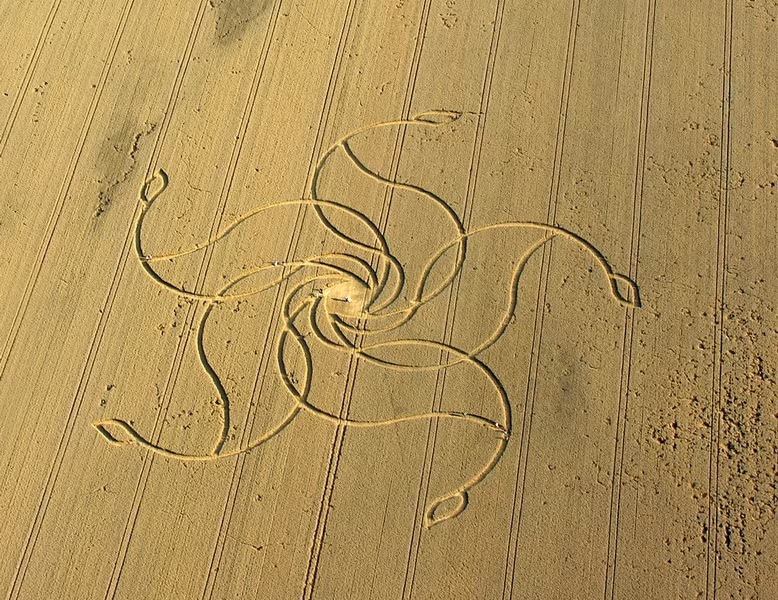 Nhưng phải đến những năm 1980, crop circle mới bắt đầu thu hút sự chú ý của thế giới khi sự xuất hiện của một vòng tròn được báo chí đưa tin rầm rộ.