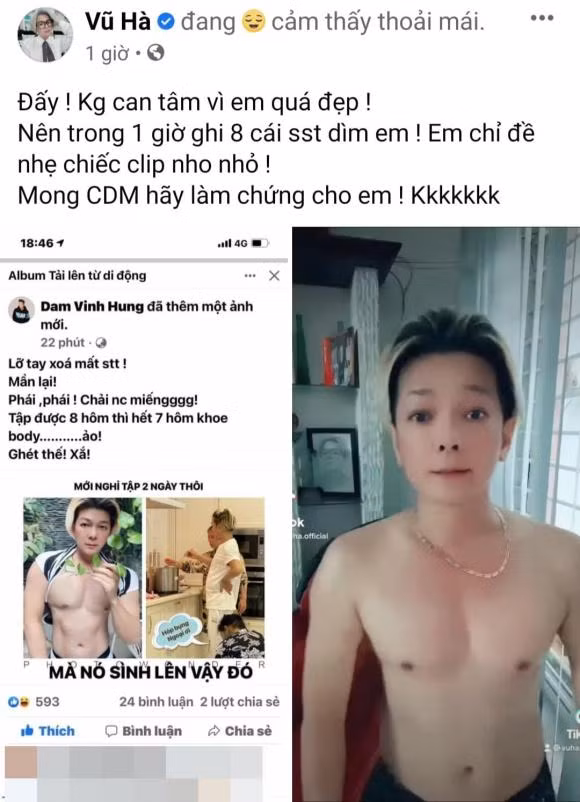 Vu Ha bi Dam Vinh Hung 