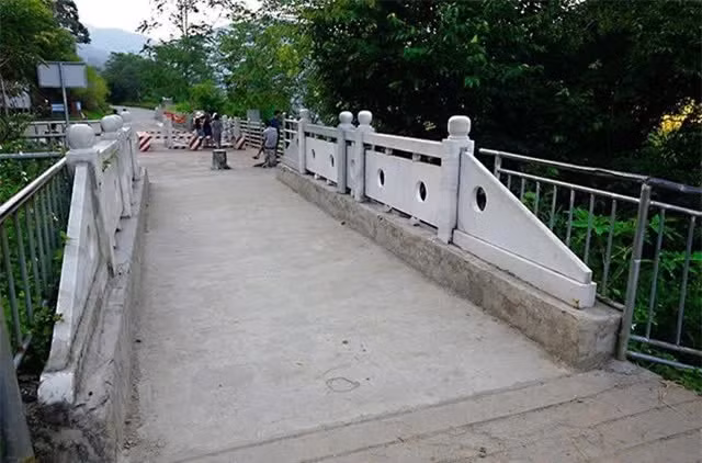 Cay cau chi dai 1m, ngan nhat Viet Nam co ten goi dac biet