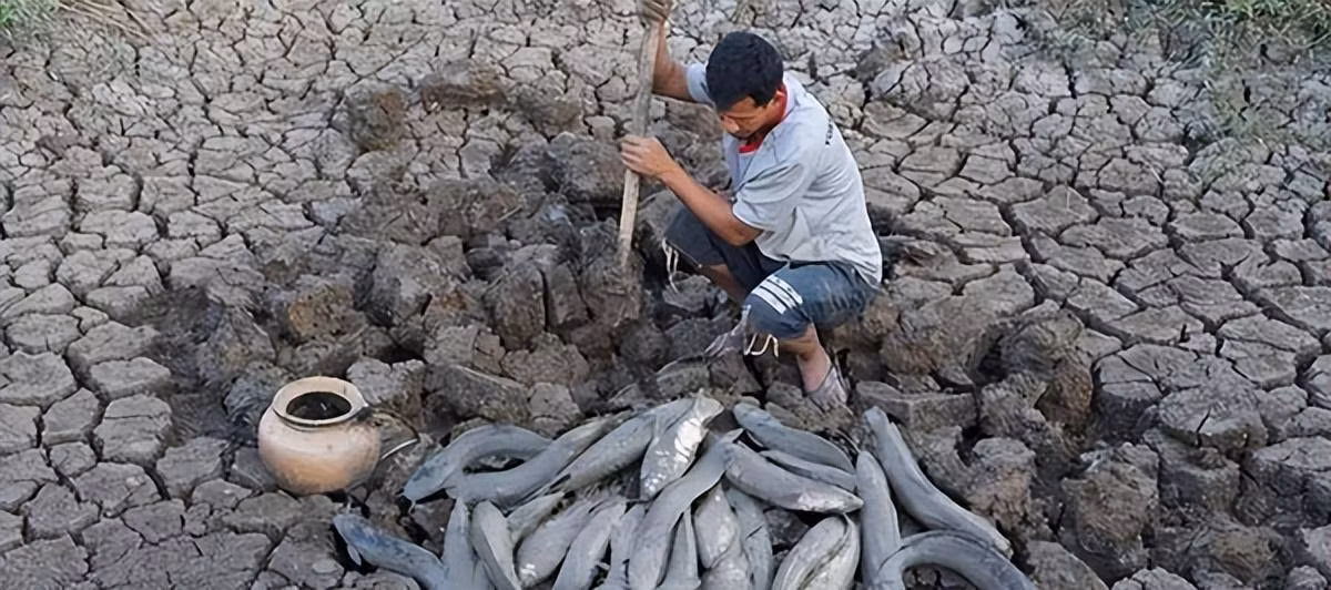 Chúng không sử dụng mang để thở như cá bình thường thay vào đó chúng sử dụng phổi để thở như động vật trên cạn. Khi điều kiện khô hạn, cá phổi châu Phi sẽ đào hang dưới đất và ở trong đó trong nhiều tháng. Chúng sẽ sử dụng phổi để hô hấp và da để hấp thụ oxy. 