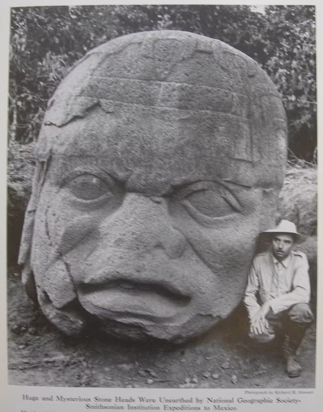 Điều làm cho những tượng đầu đá khổng lồ của người Olmec thực sự đáng chú ý là chúng Cho đến nay, các nhà khảo cổ đã tìm thấy 17 tượng đầu khổng lồ, trong đó bức cao nhất đạt chiều cao gần 3 mét và nặng từ 6 đến 40 tấn – tương đương trọng lượng của một con voi trưởng thành.