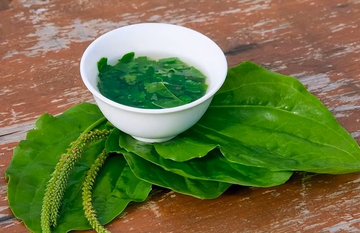 Loai rau dai moc khap noi hoa ra la thuoc quy, loi tieu, loi mat-Hinh-3