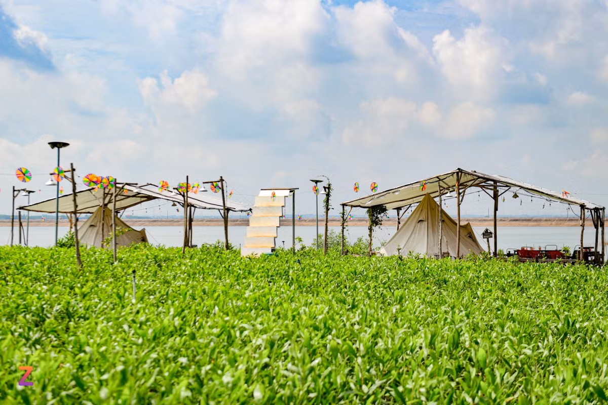 Xung quanh hồ Trị An có hàng chục khu camping (cắm trại truyền thống) và glamping (cắm trại cao cấp), đáp ứng đầy đủ nhu cầu của du khách. Giá vé vào cổng từ 50.000 đồng/người. Du khách có thể thuê lều, đặt tiệc nướng hoặc mua vé combo ăn uống, lưu trú, vui chơi.