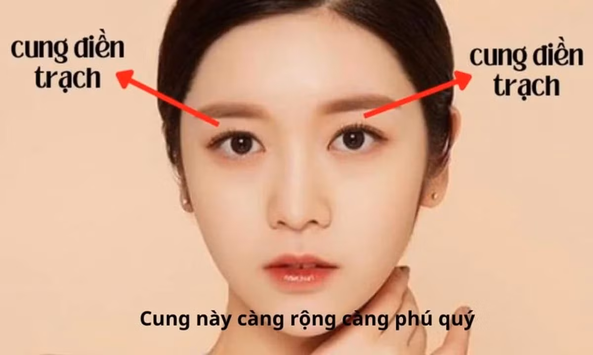  Cung điền trạch rộng: Cung điền trạch là khoảng từ bờ trên cặp mắt tới dìa dưới của cặp chân mày. Đây là bộ phận phụ trách các bất động sản của một người như nhà cửa, mua bất động sản có thể kiếm được nhiều tiền. 