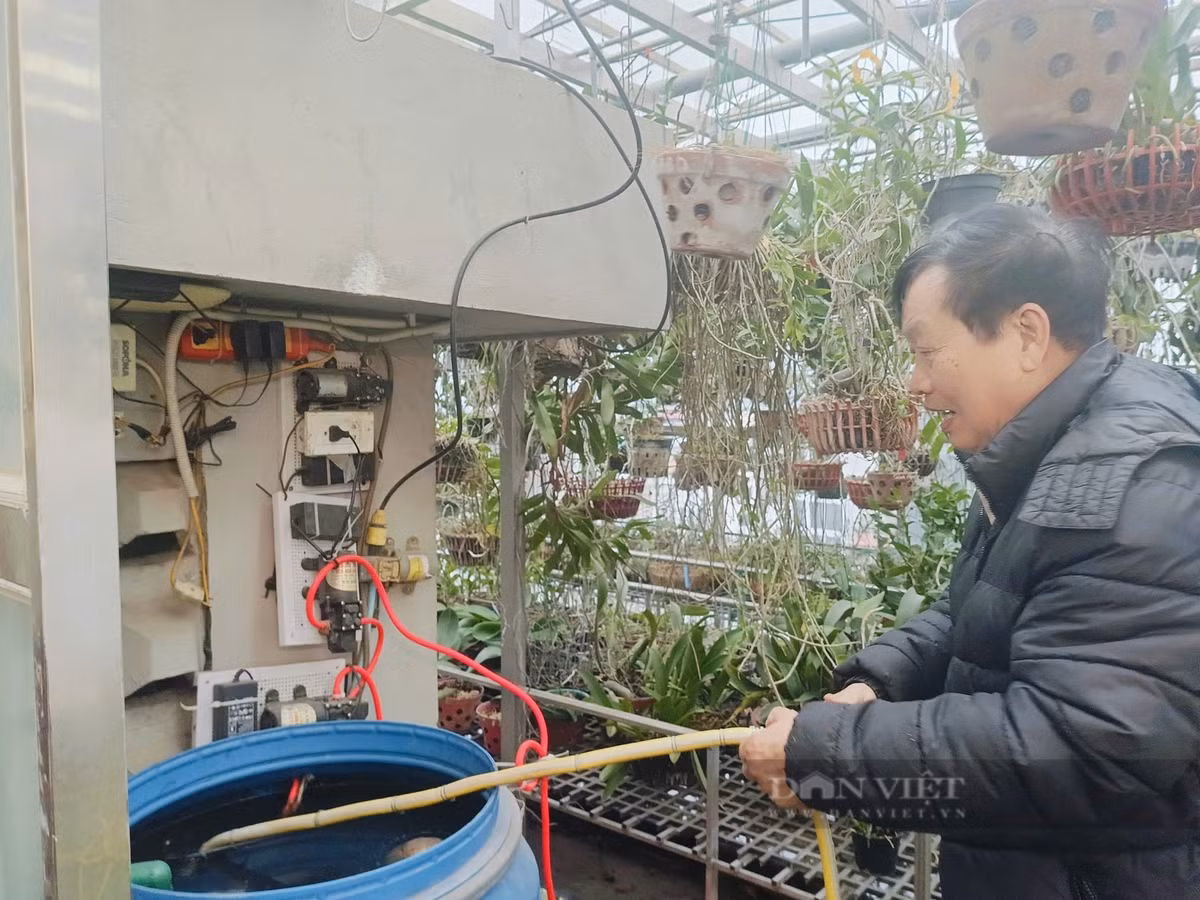 Hệ thống tưới thông minh giúp công việc chăm hoa lan của ông Quý dễ dàng và thuận lợi hơn.