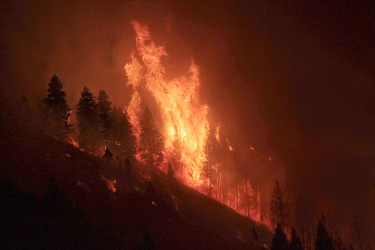 Cháy rừng gần Pine, Idaho ngày 14/8.