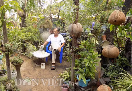 Doc dao vuon treo sinh thai tu trai dua kho