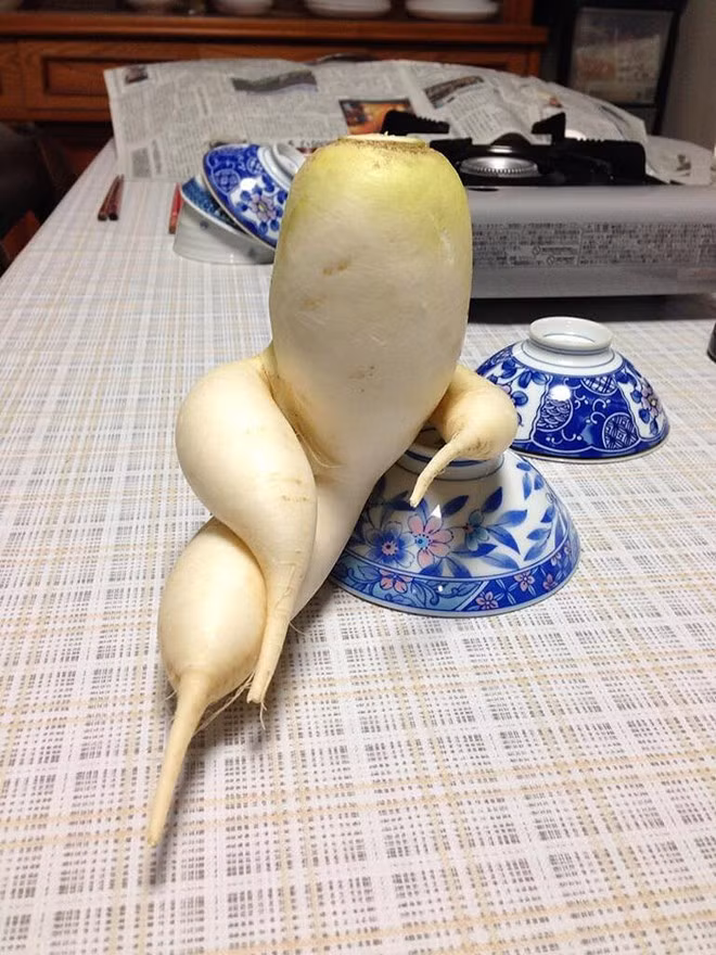 Dáng ngồi kiêu sa.