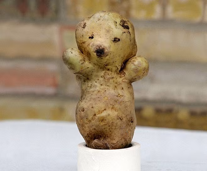 Chú gấu nhỏ đáng yêu.