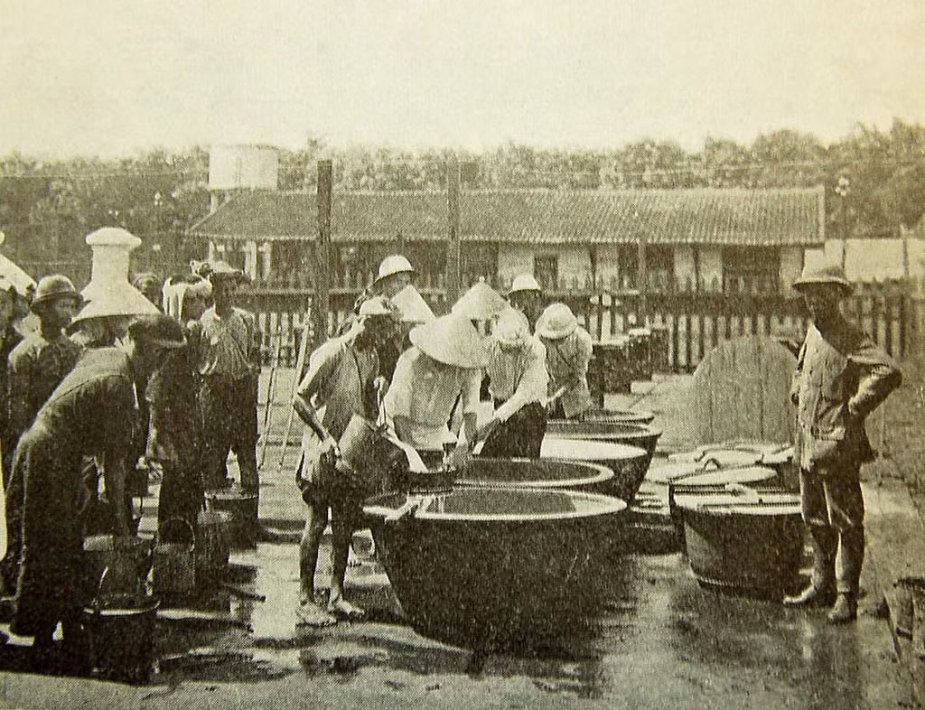 Những chiếc bể chứa mủ cao su.