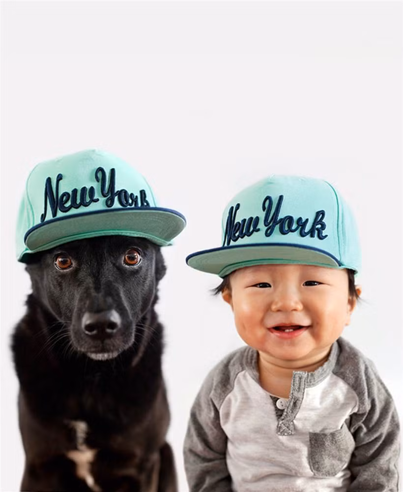 Sau đó Zoey được giao lại cho một trung tâm cứu hộ động vật, được Grace Chon nhận nuôi và đưa đến Los Angeles.