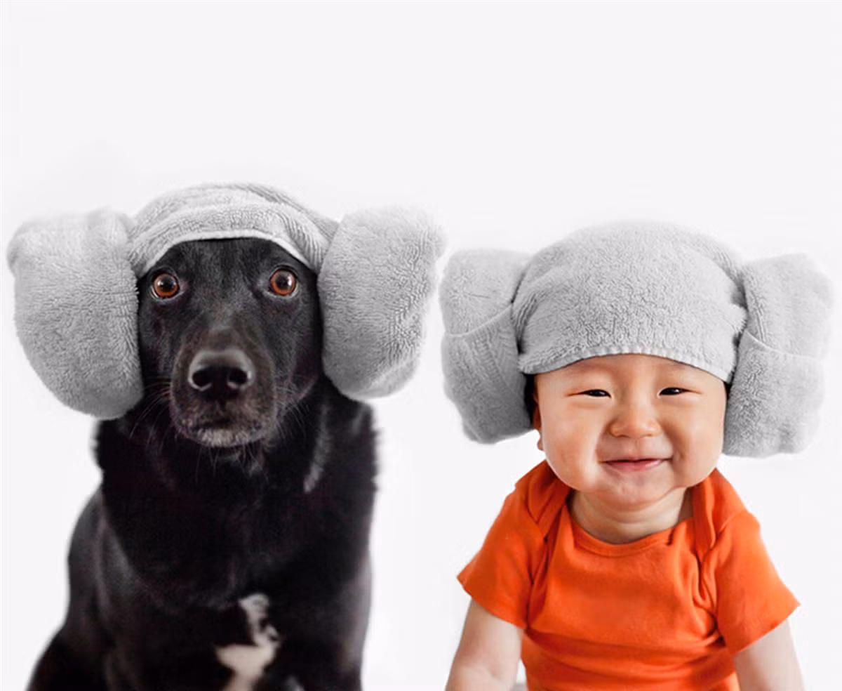 Dù là chú cún con nhưng Zoey thích được mặc quần áo và thích máy ảnh. Chỉ cần được mặc quần áo và thấy Chon cầm máy ảnh là Zoey tạo dáng ngay.