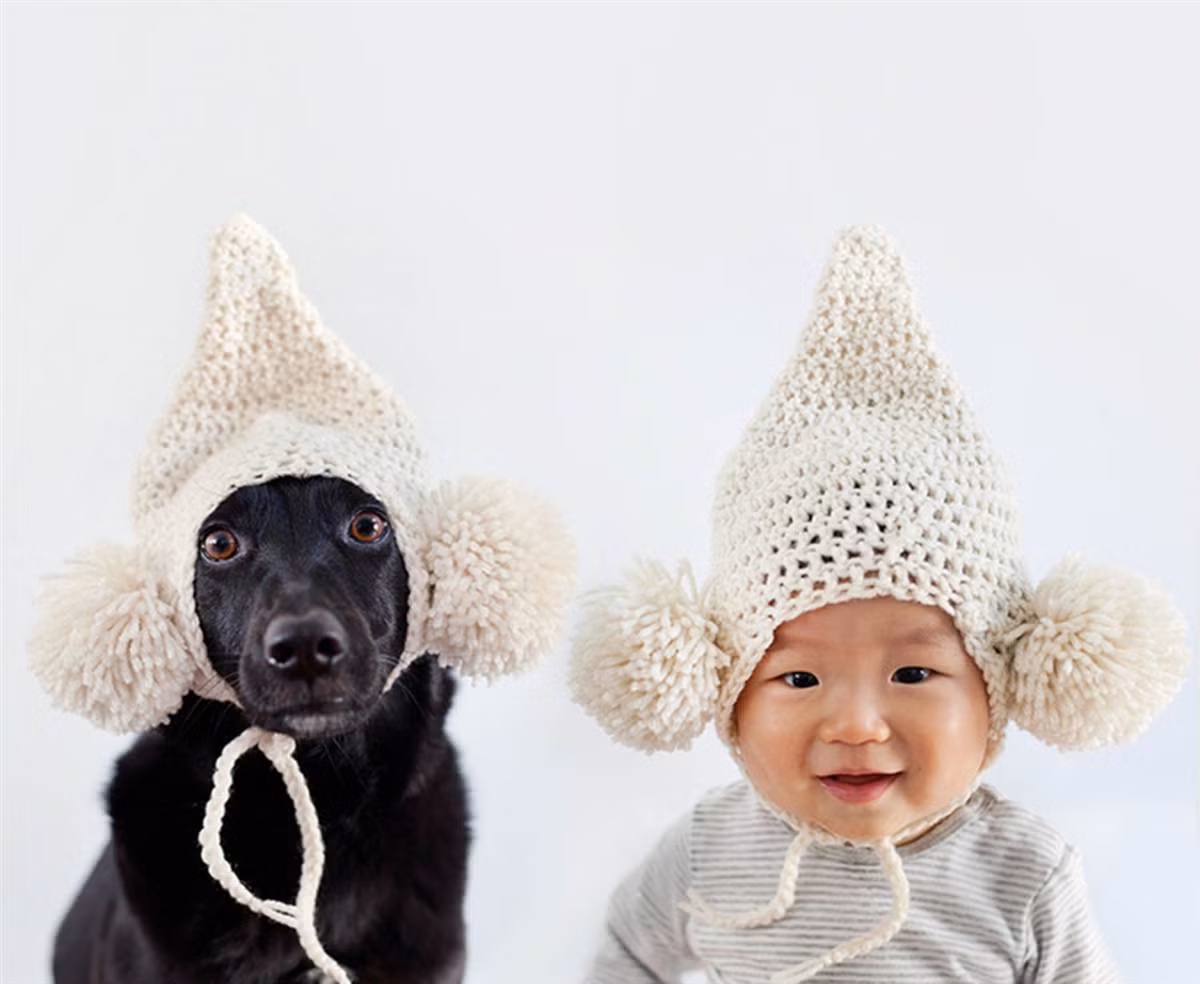 Bà mẹ trẻ chia sẻ: "Không chỉ tạo ra những bức ảnh tuyệt đẹp, việc chụp ảnh còn cải thiện mối quan hệ giữa cậu bé Jasper và cô chó Zoey".