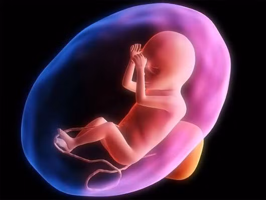 Ngoài ra, bạn đã có thể biết chính xác giới tính của con bằng cách siêu âm ở tuần này do cơ quan sinh dục đã phát triển đầy đủ. Thai nhi ở tuần 16, giới tính đã rất rõ ràng và khó có thể nhầm lẫn khi siêu âm.