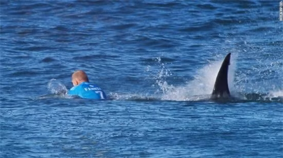  Mick Fanning bất ngờ bị cá mập tấn công từ phía sau khi đang tham gia giải đấu ở Nam Phi. Rất may là anh đã thoát khỏi hàm cá mập nhờ sự phản ứng nhanh. 