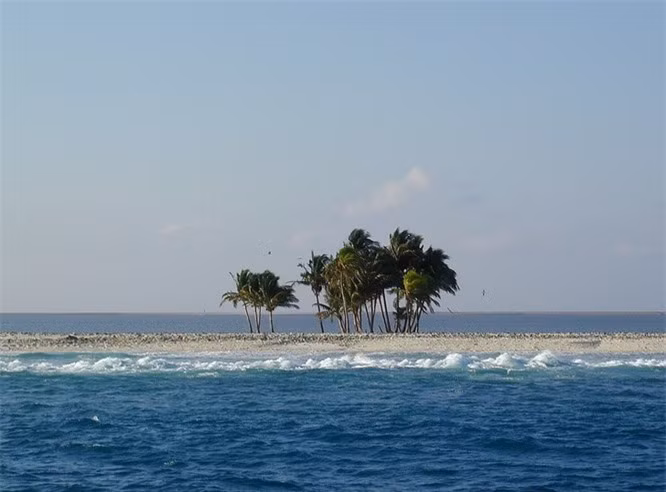 5. Đảo Clipperton: Đảo Clipperton là một đảo san hô nhỏ với diện tích chỉ 6km2 nằm ở Thái Bình Dương, cách đất liền hàng nghìn cây số. Vào những năm 1910, người ta đã xây dựng một ngọn hải đăng trên đảo, dân số lúc này khoảng 100 người, bao gồm các gia đình và trẻ nhỏ. Cứ sau 2 tháng, một con tàu sẽ đến tiếp tế thực phẩm và các nhu yếu phẩm khác. Cho đến năm 1914, các tàu tiếp tế thực phẩm dừng hoạt động vì Nội chiến Mexico. Người dân trên đảo bị lãng quên, tự tìm cách sống sót trên đảo san hô nhỏ không có rừng và đất nông nghiệp. Năm 1917, những người sống sót cuối cùng gồm 3 phụ nữ và 8 trẻ em, tất cả đều bị suy dinh dưỡng nghiêm trọng đã được một tàu Mỹ cứu thoát và sơ tán. 