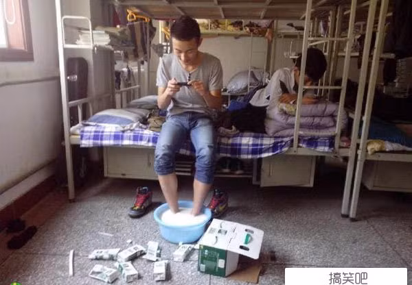 Khi con nhà... "đại gia sữa" đi ở trọ?!
