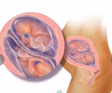 20 tuần tuổi: Nếu bạn nói chuyện thì bé có thể nghe thấy giọng nói của mẹ rồi đấy. Tóc của bé bắt đầu mọc, da phát triển một lớp mỡ màu trắng có tác dụng bảo vệ cơ thể trong nước ối.