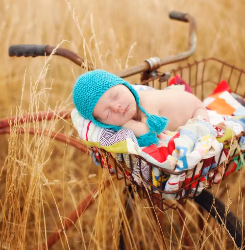 Còn gì tuyệt vời hơn khi ngủ trong khung cảnh thơ mộng này nhỉ!