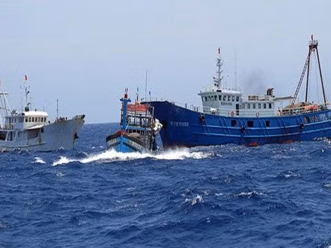 Tàu Trung Quốc va, đâm tàu cá Việt Nam.