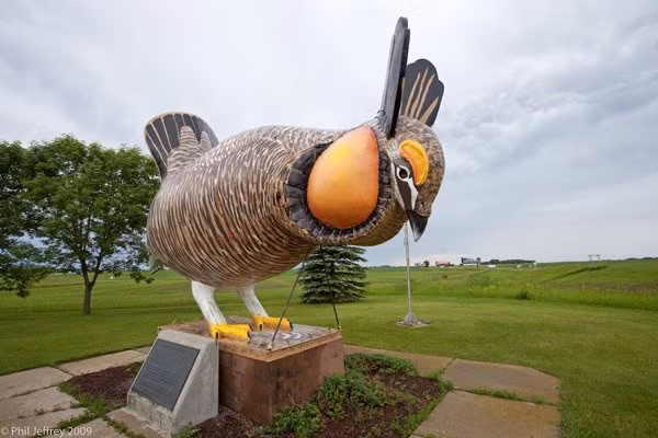 Thành phố Rothsay, bang Minnesota của Mỹ là nơi tọa lạc bức tượng gà khổng lồ nổi tiếng nhất đất nước này. Ảnh: Panoramio.