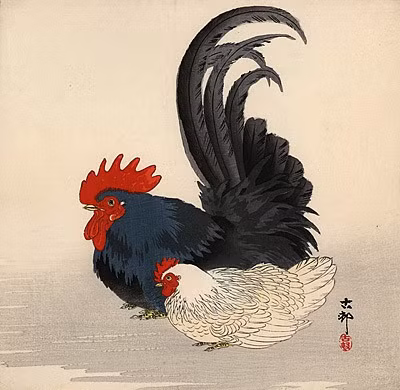 Những chú gà trong tranh của Ohara Koson được thể hiện rất sinh động với rất nhiều dáng điệu, sắc thái khác nhau.