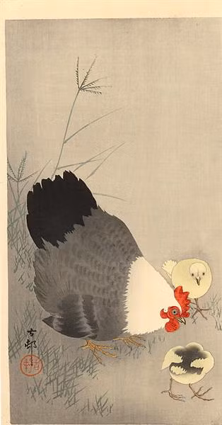 Gà mẹ và hai con.