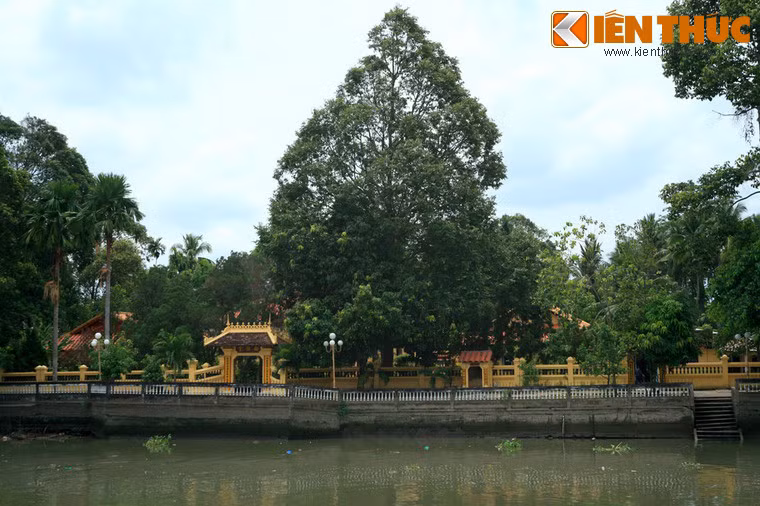 Nằm bên bờ sông Bình Thủy, chùa Nam Nhã là ngôi chùa cổ nổi tiếng bậc nhất của TP Cần Thơ. Chùa được xây dựng năm 1895 và trải qua các lần tôn tạo lớn vào năm 1905, 1917 và 1923 để có quy mô và kiến trúc như ngày nay.