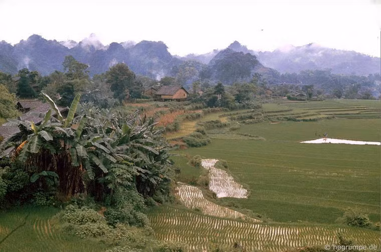 Khung cảnh nên thơ của vùng Tây Bắc với nhà sàn, ruộng bậc thang và những dãy núi trùng điệp phía xa.