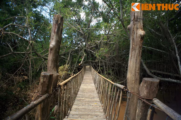 Buôn Đôn của tỉnh Đăk Lăk không chỉ nổi tiếng với huyền thoại về nghề săn bắt và thuần dưỡng voi mà còn lôi cuốn du khách với chiếc cầu treo có 1-0-2 của Việt Nam.