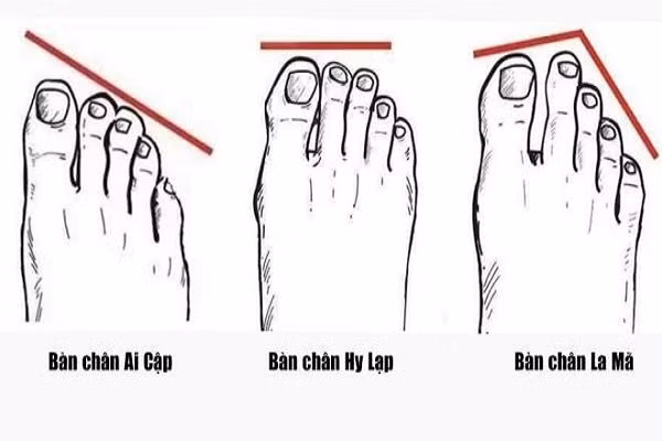 Nhìn vào độ dài ngón chân biết tương lai bạn thành quan to hay bần cố nông trọn kiếp? - Hình 2 Nhin vao do dai ngon chan biet tuong lai ban thanh quan to hay ban co nong tron kiep?-Hinh-2