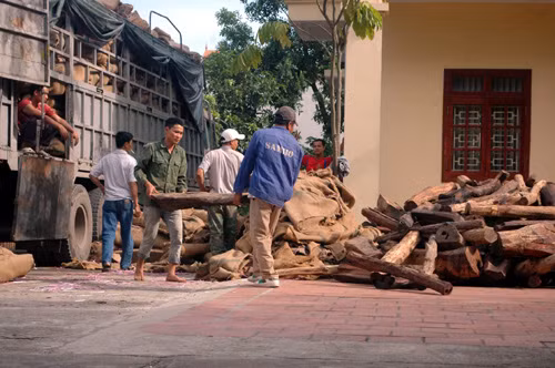 Rất đông người mới đủ sức tháo dỡ gỗ xuống.