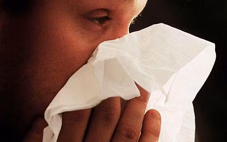 Gần đây, những đại dịch như SARS, dịch cúm gia cầm, MERS liên tiếp xảy ra trên quy mô lớn khiến thế giới không tránh khỏi những lo ngại đáng báo động.