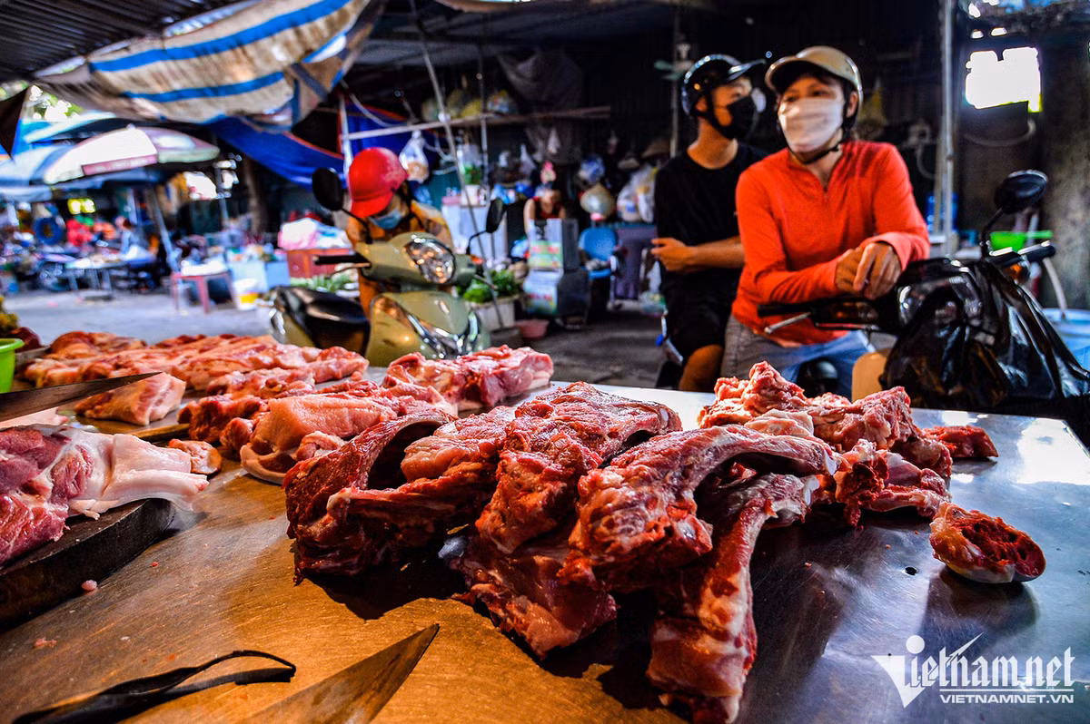 Nguồn cung tăng mạnh, sức tiêu thụ yếu, giá thịt lợn, gà chìm sâu - Hình 2 Nguon cung tang manh, suc tieu thu yeu, gia thit lon, ga chim sau-Hinh-2